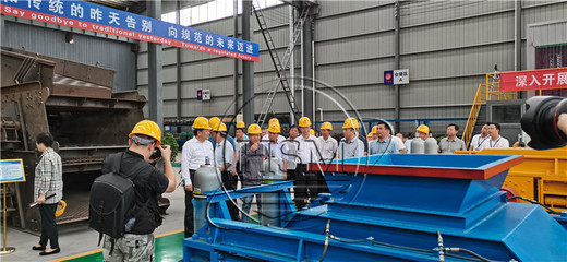 砂石厂液压对辊破碎机厂家--热烈欢迎袁书记来我厂参观考察