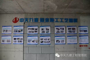 河南省质量安全示范工程现场观摩会 展览工程领域的新标杆